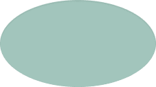 Expertise icon