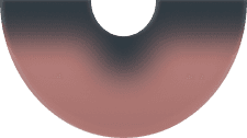 Expertise icon