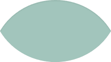 Expertise icon
